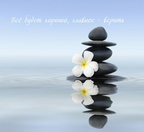 images 13828