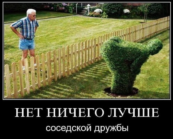 демотиваторы 084513