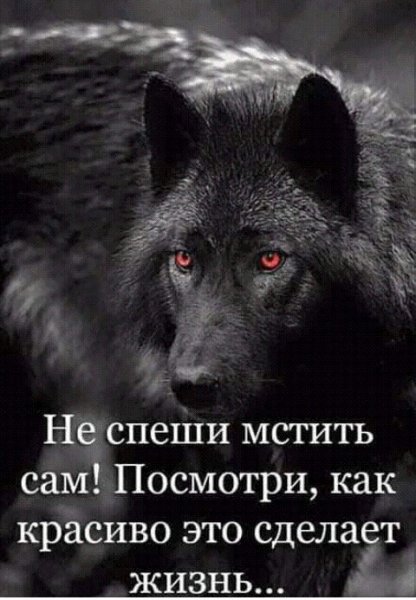 IMG 20210205 023944