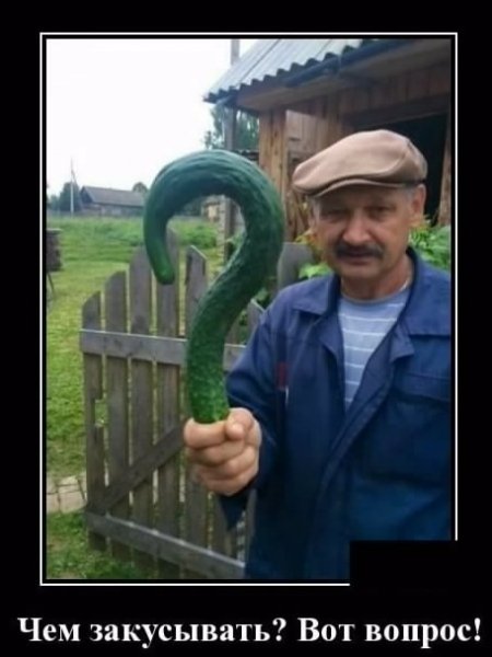 demotivator