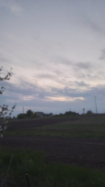 picture_412166927