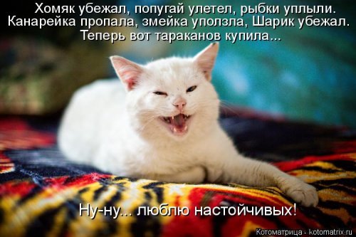 picture_413594712