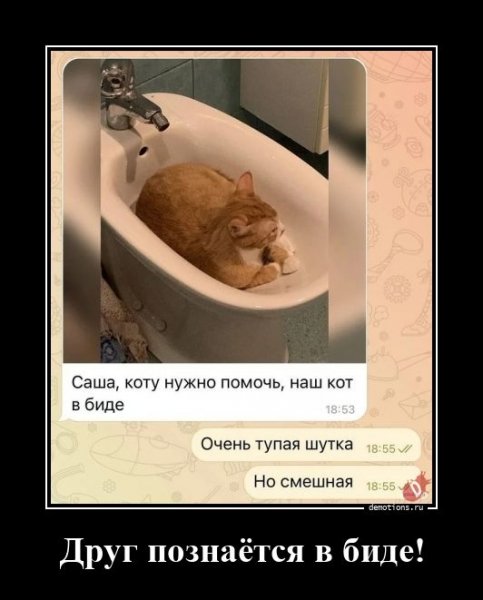 picture_410894953