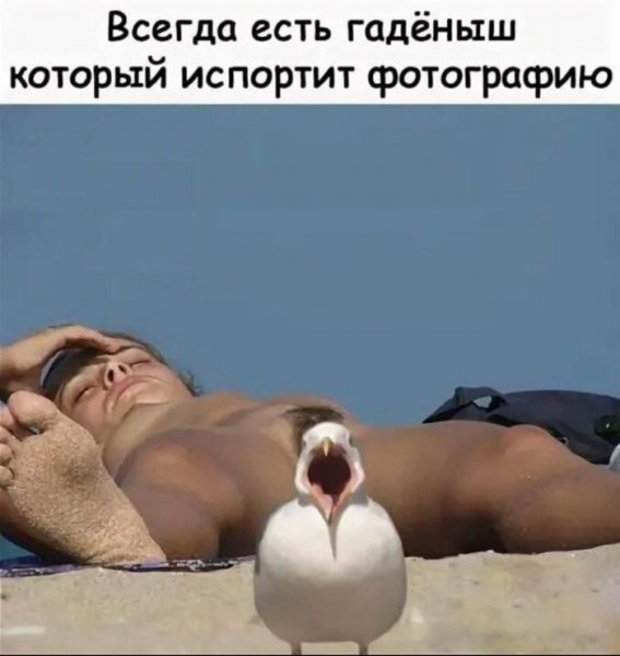 Chernyj-jumor-i-poshlye-shutki-dlja-teh-kto-v-teme-00