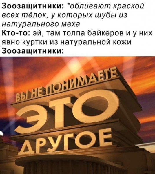 70fef0912b 20401440