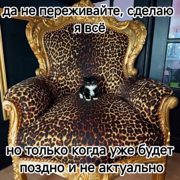 IMG 20260708 172357 792