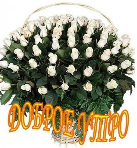 доброе утро