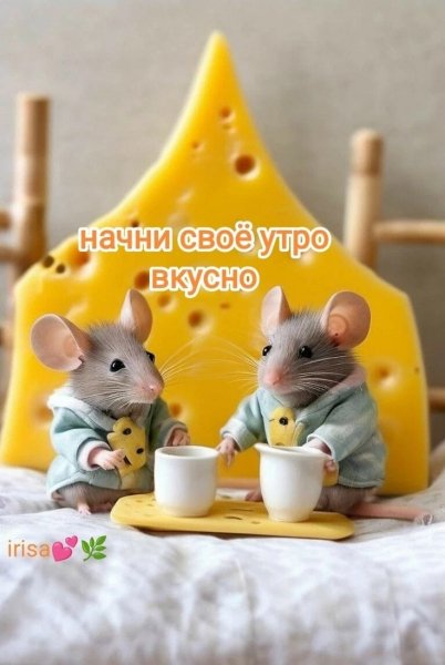 IMG-20250124-WA0002
