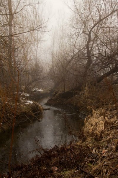 picture_399780532