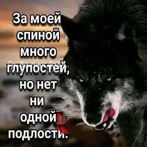 picture_409226973