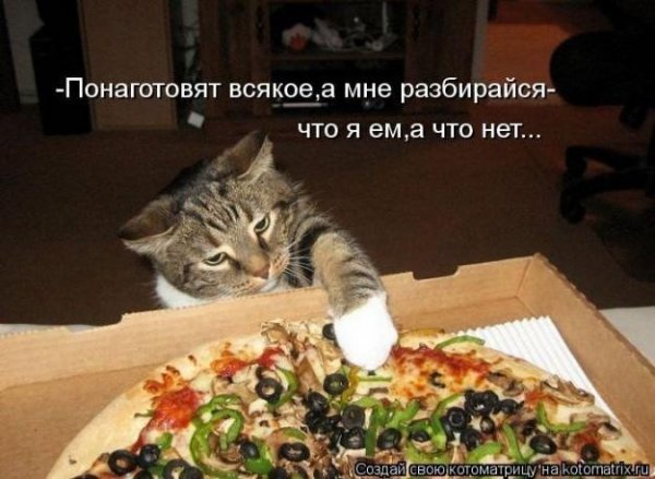 f91027468ba5a686b7e7d3d3f8ee