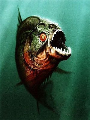 Piranya