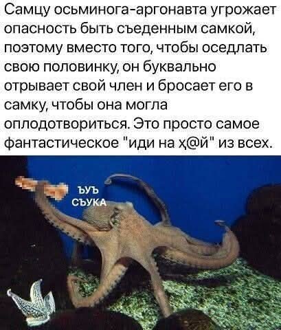 IMG 20260724 003520
