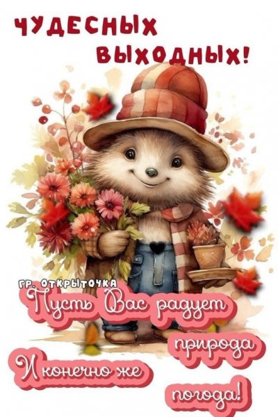 IMG-20241006-WA0006