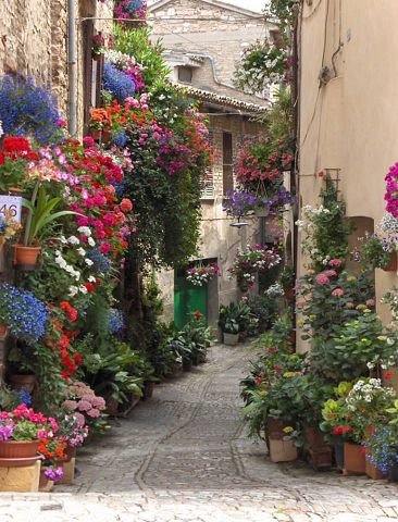 getImage (7)
