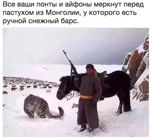 p.1200.1200.0