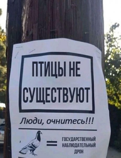 D85edcf0f1 19947003