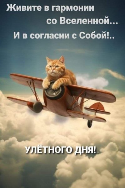 IMG-20231124-WA0043