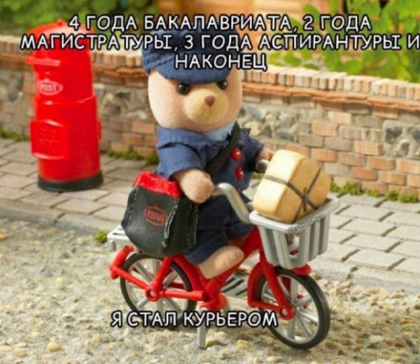62fa6efde5 20401437