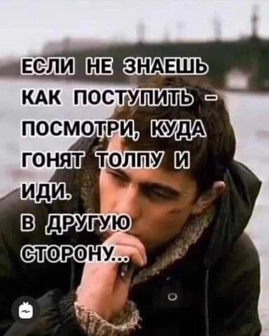 F5fO4VHWgAA1Tc8