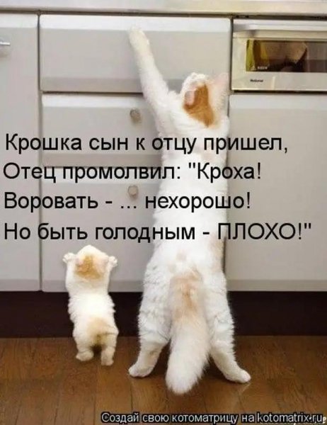 )))))