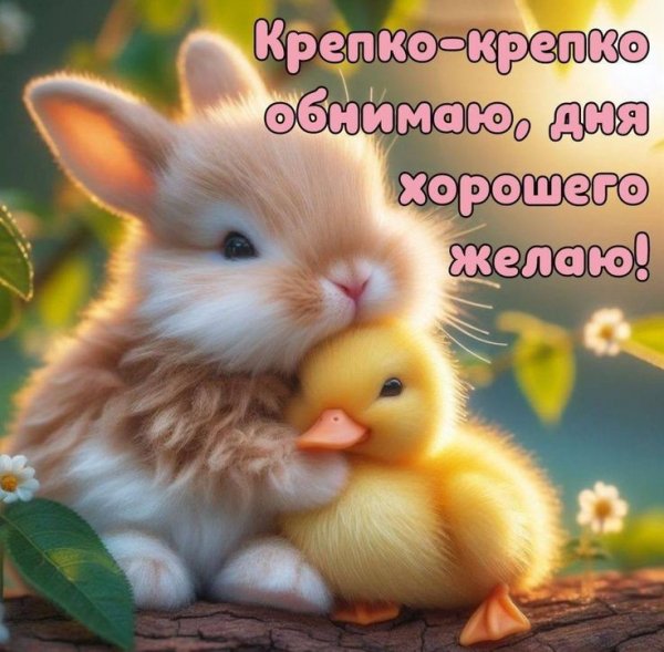 5bacff797497637b38b37240b9db0976
