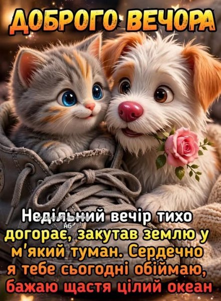 09-04