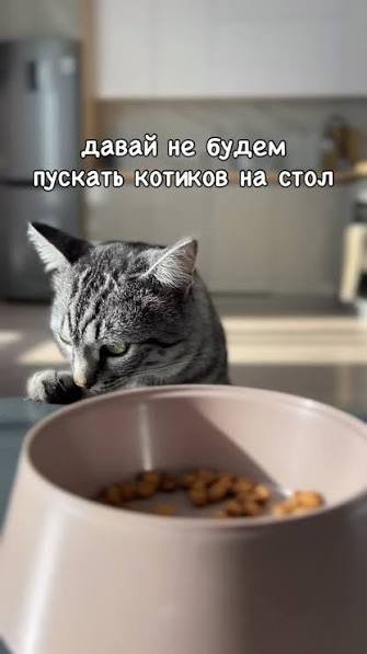 picture_405872951