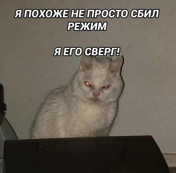 Сверг режим