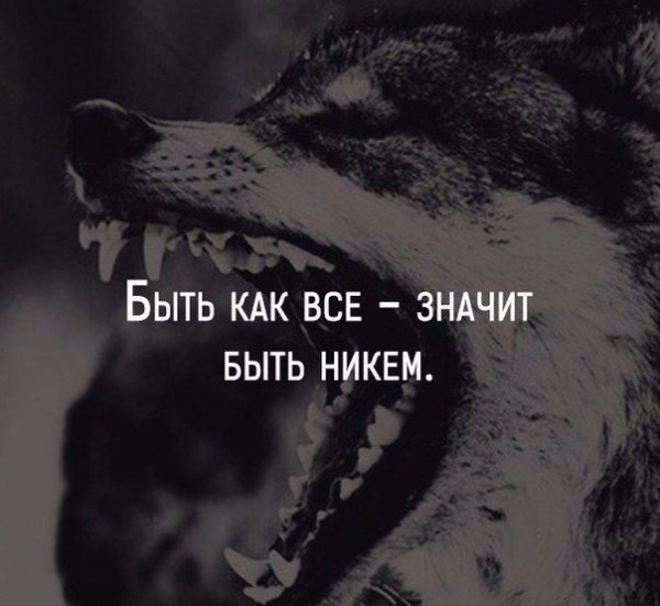 r g6TqDaTq0