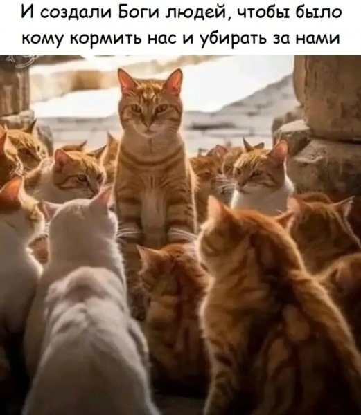 Mejdunamidevochkami 21f4791079ab4cff8c1094a22966ac10
