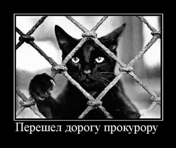 image(23)
