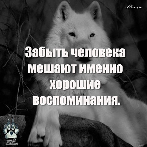 picture_215389860