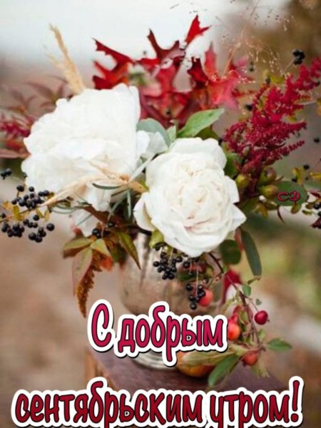IMG-20210924-WA0000
