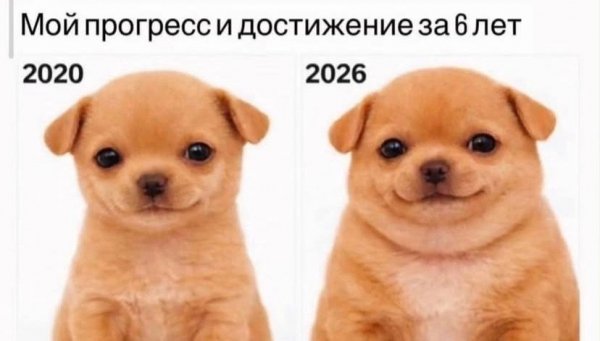 Photo 2026-08-18 11-57-44