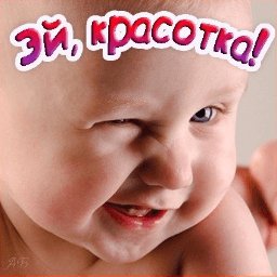 getImage(175)