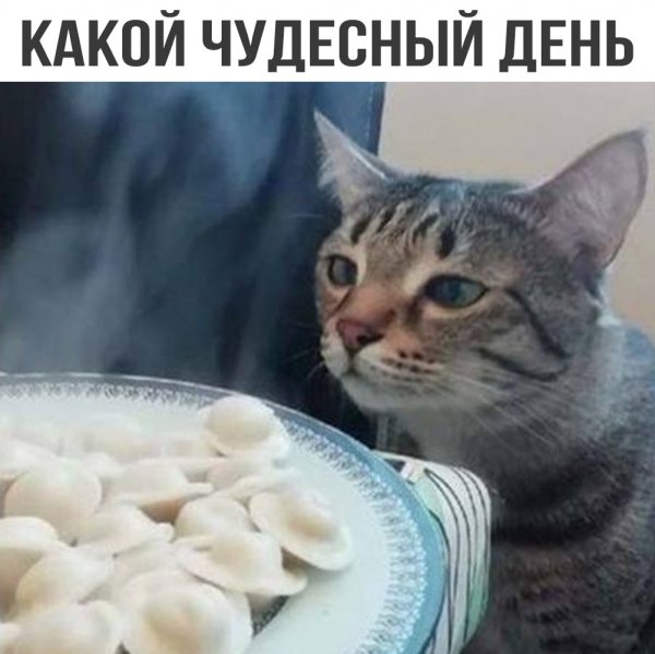 Да! ))