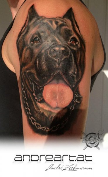 Tattoo (4502)