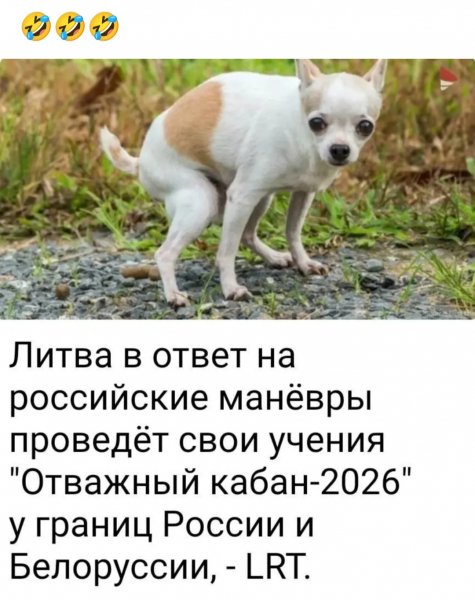 IMG 20260614 100136