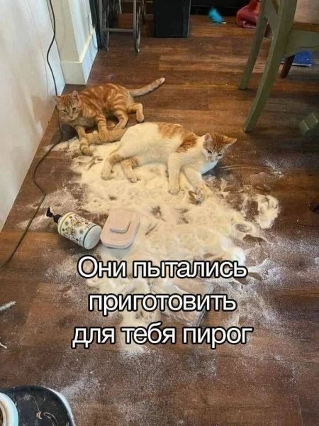 picture_400586996