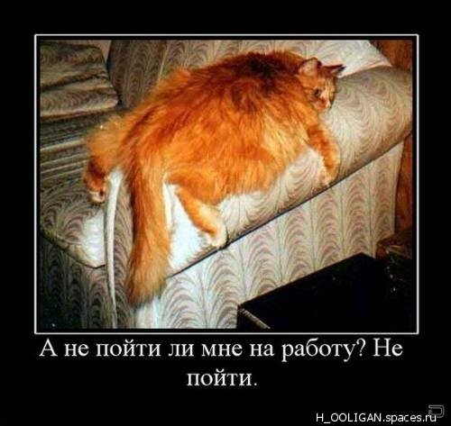 picture_84273075