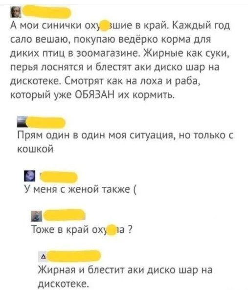 3fmqrowh