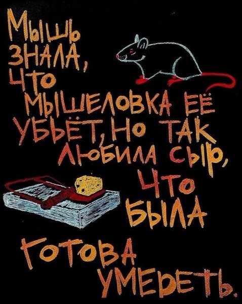 Высказывание