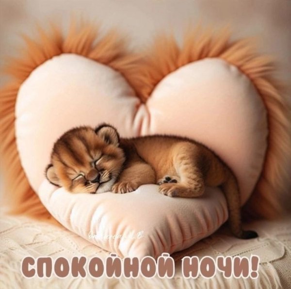 ef9dac9744bcaf30caa19b3e4d6d