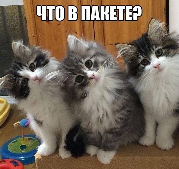 IMG 20180522 225921 3