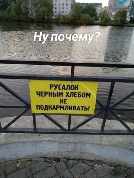 picture_418639695