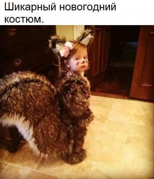 rC6MKKByusU