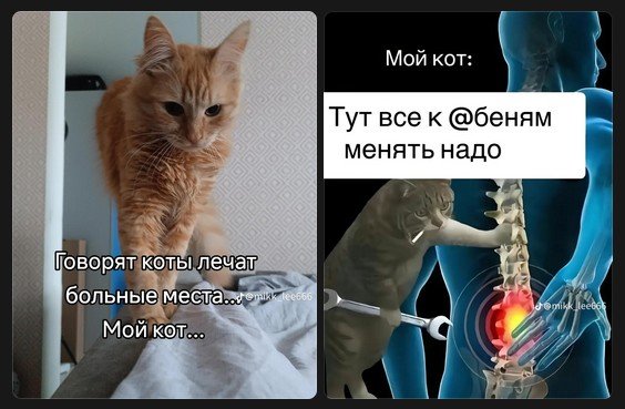 E2accd8a5d 19963077