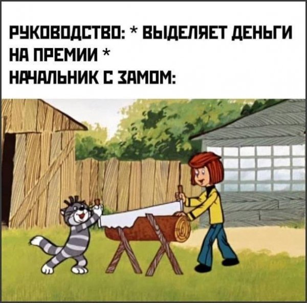IMG 20260208 111804 159