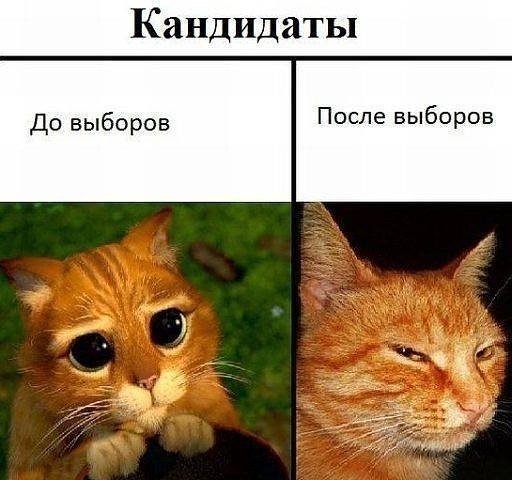 Если избрались))